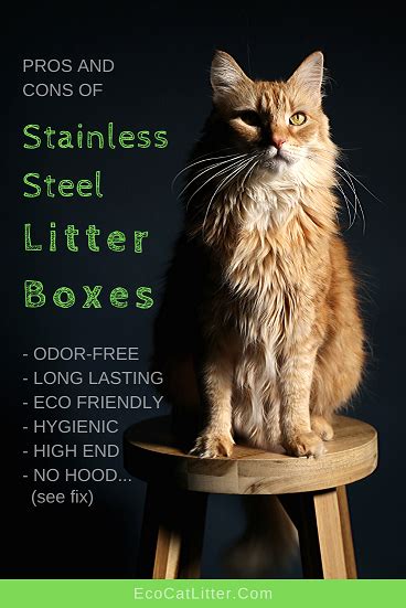 pros and cons of stainless steel litter box|stainless steel litter box alternative.